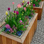 pohled na květináč a květiny