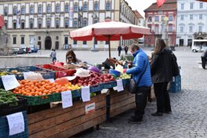 Bezpečnostní agentura na Zelném trhu. Brno-střed reaguje na nedostatek policistů